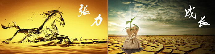 企業發展要學會取他人之長、補自己之短 企業發展要學會取他人之長、補自己之短